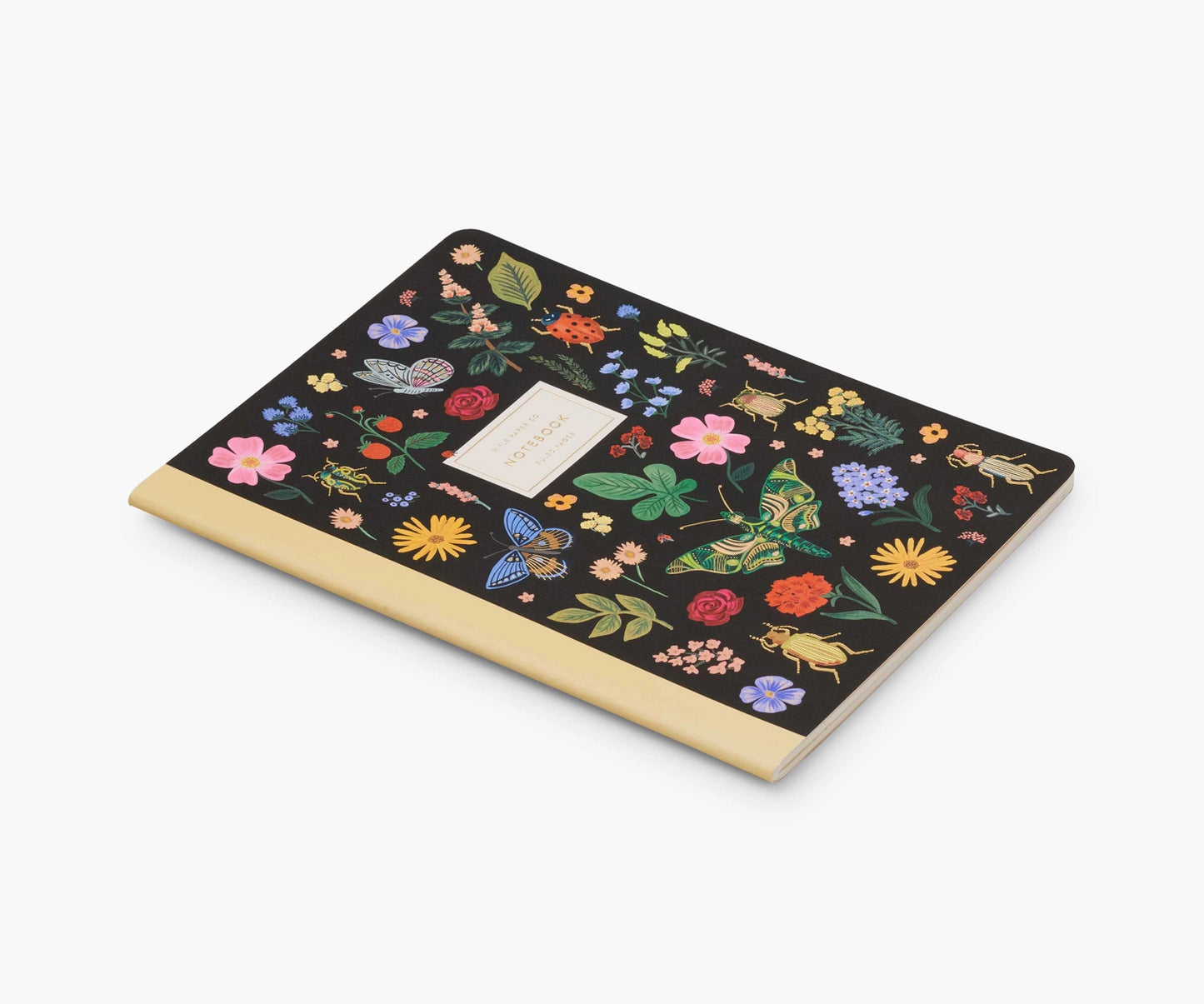 Carnet Ligné - Curio - Rifle Paper co