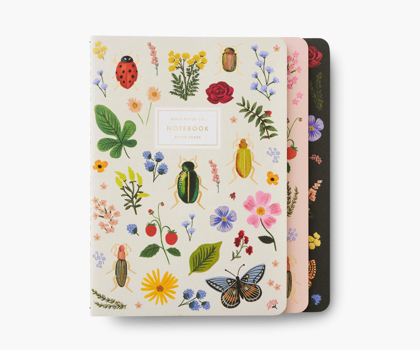 Set de 3 notebooks Curio - Rifle Paper