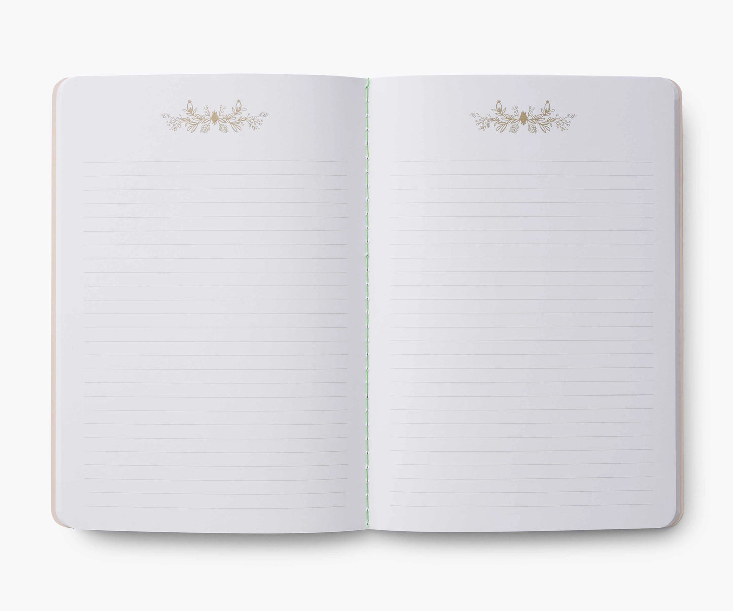 Set de 3 notebooks Curio - Rifle Paper