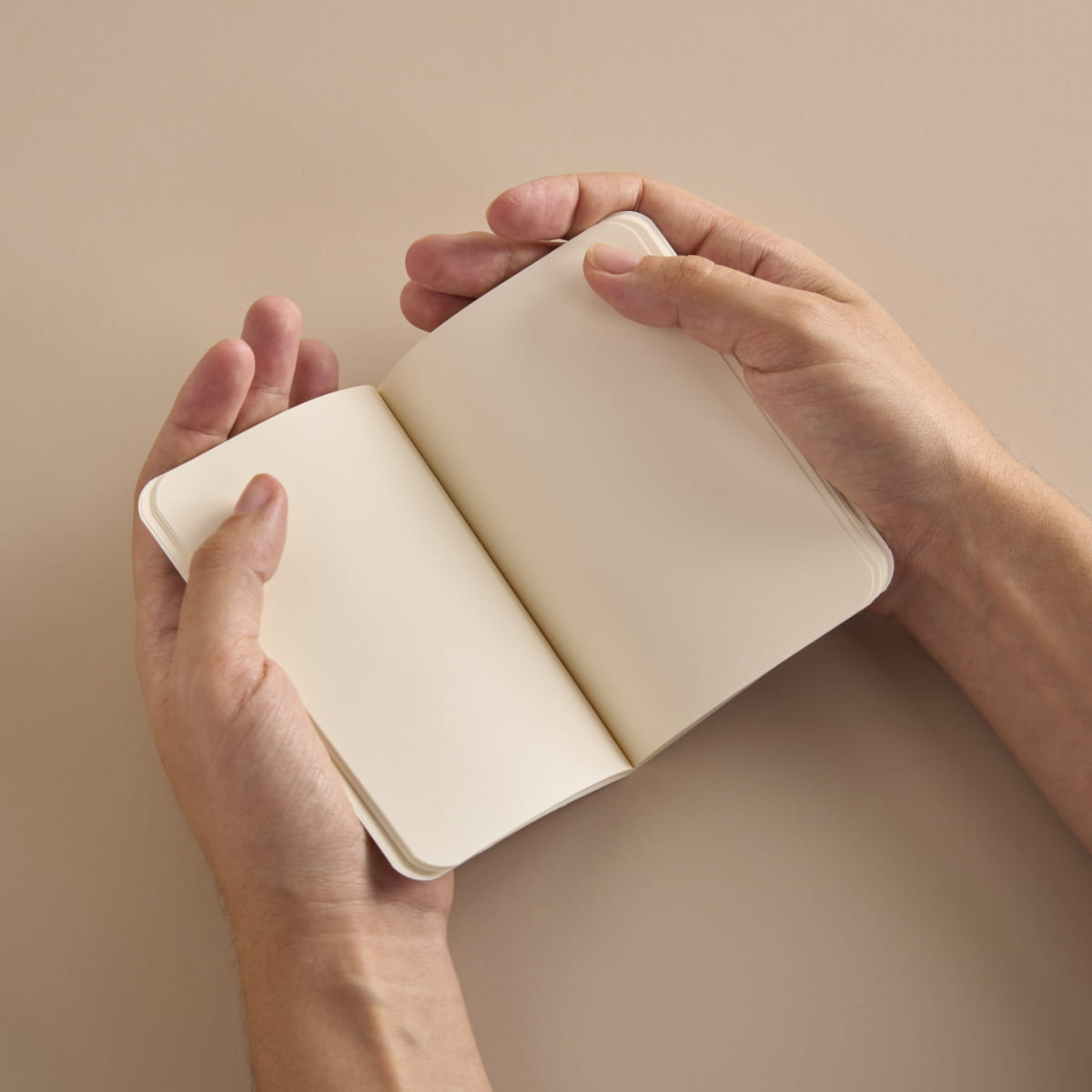 Petit Carnet Miracle - Season Paper