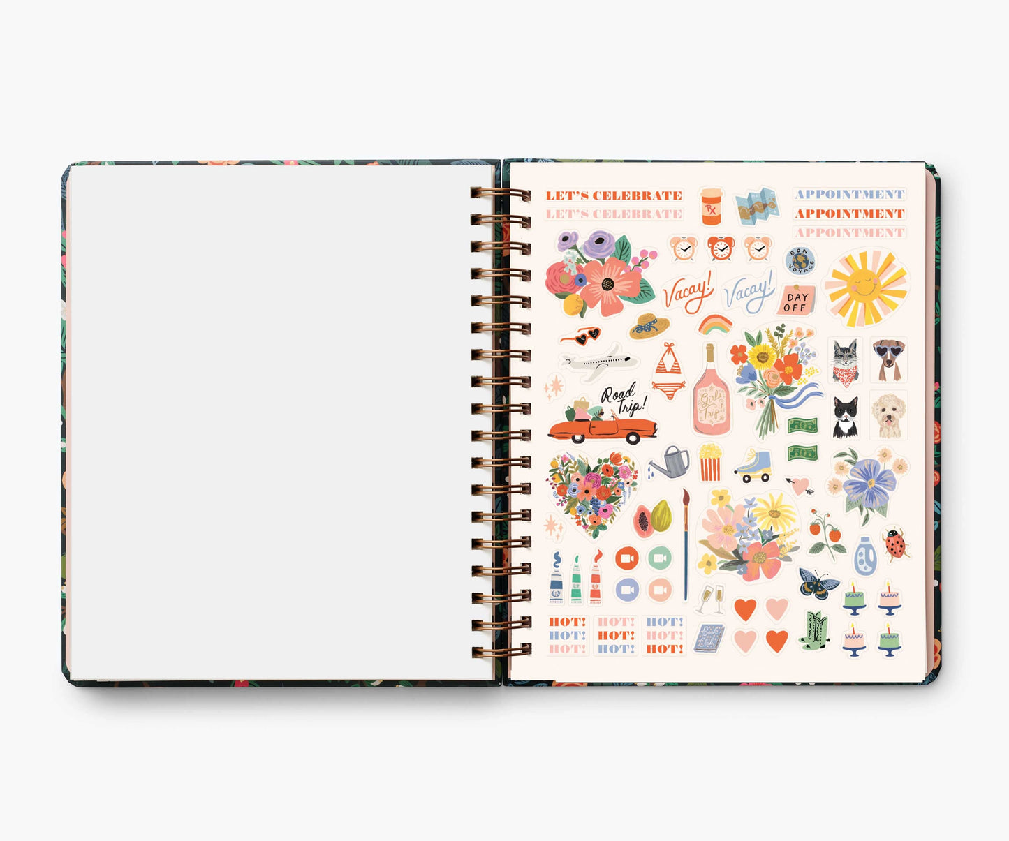 Agenda Peacock 2024 à spirales de 17 mois - Rifle Paper Co