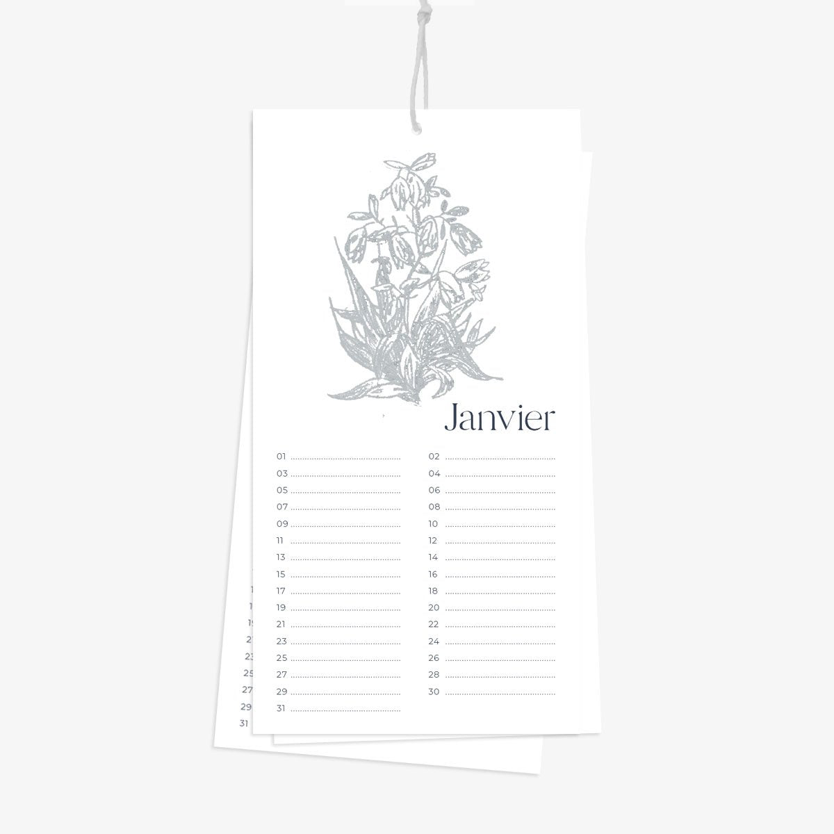 calendrier avec fleur bleu sur page janvier