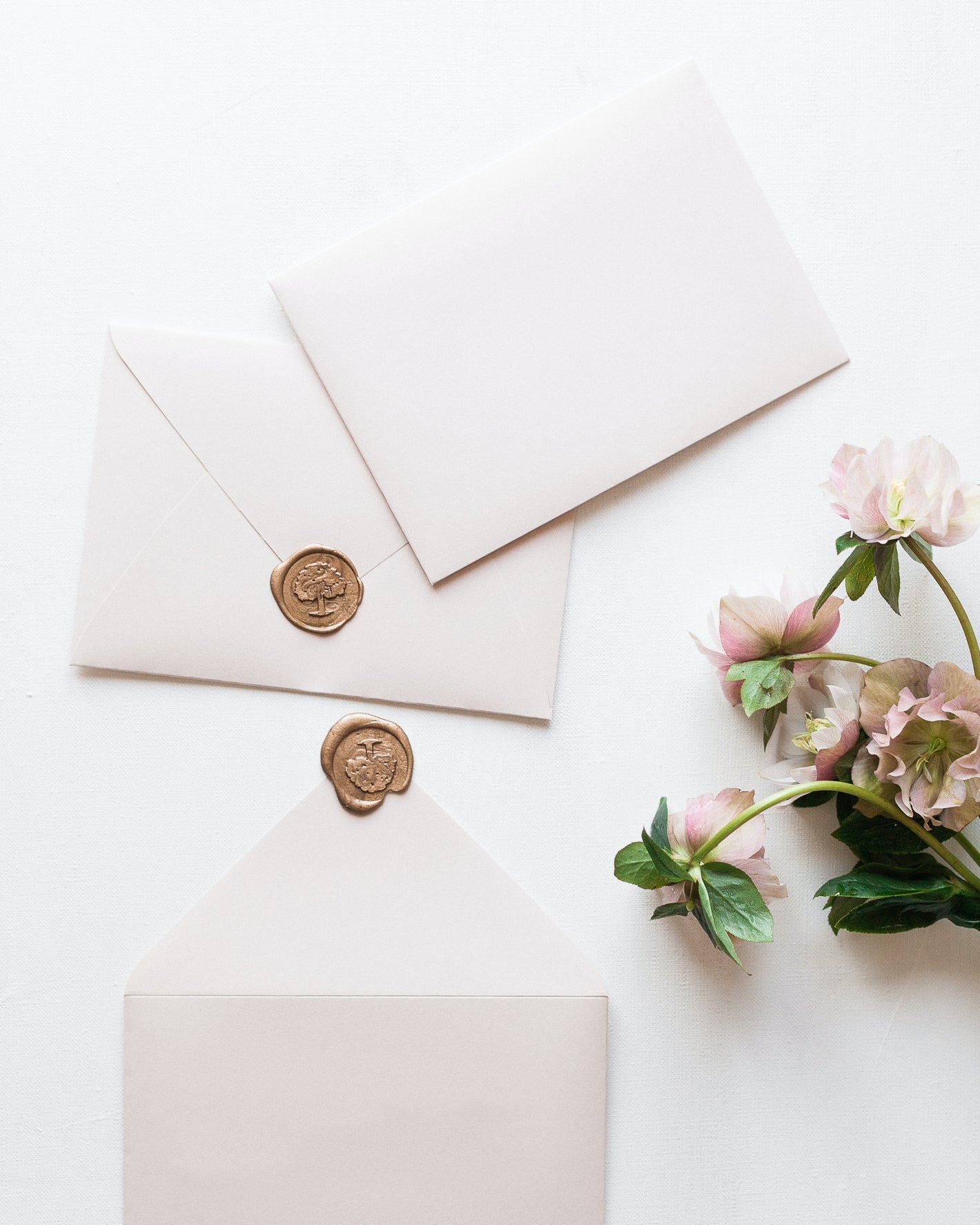 Activer ma carte cadeau abonnement Lettre Maison Paon
