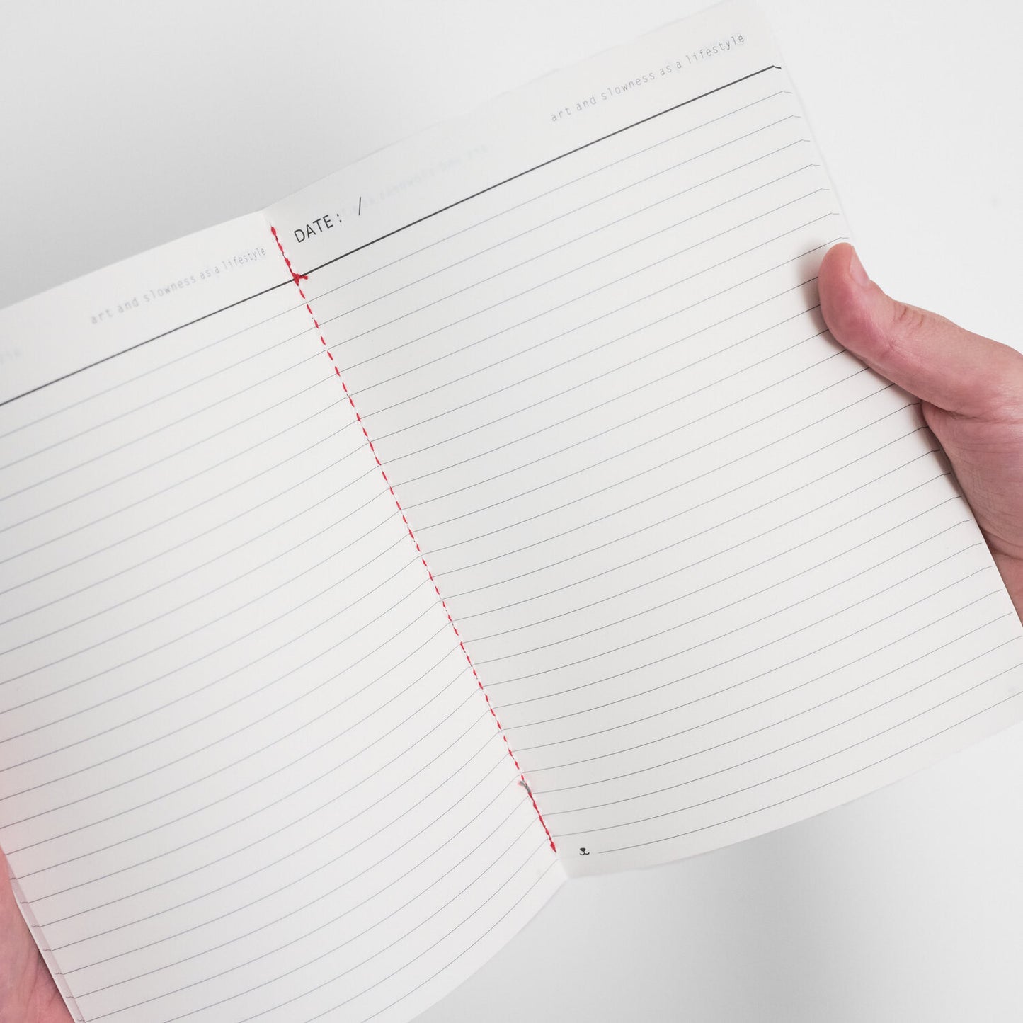 cahier-succulente-maison-ours-maison-paon