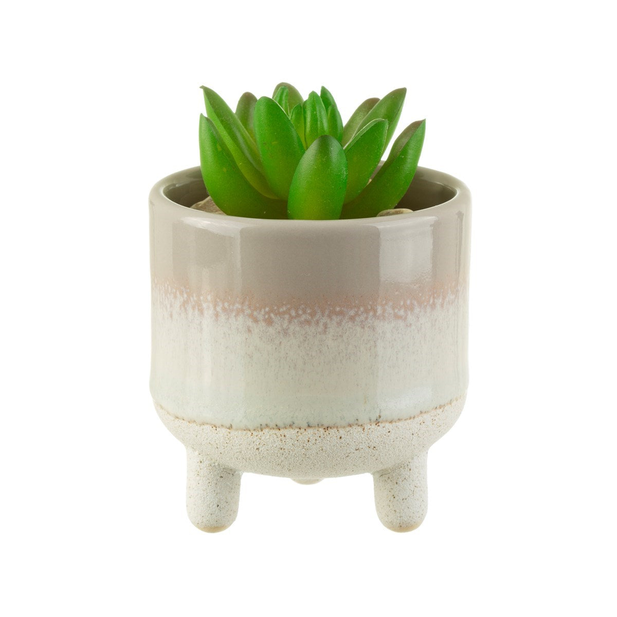 Pot gris sur fond blanc avec plante verte