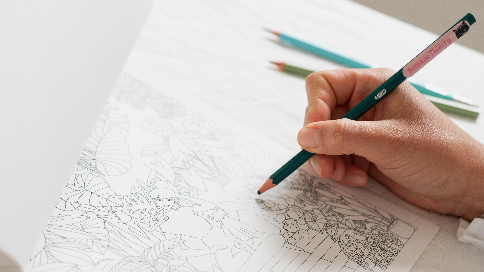 Les Coloriages, Peintures & Stickers