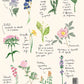 Carnet A4 - Fleurs - Zoé de las Cases