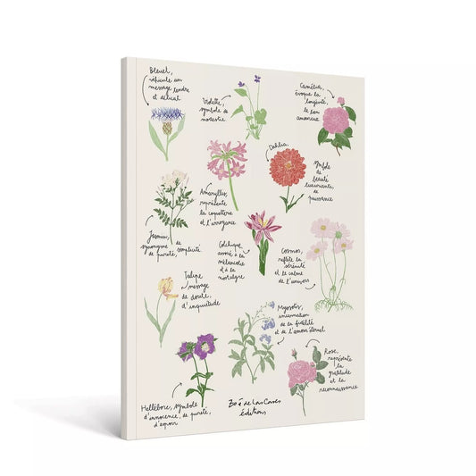 Carnet A4 - Fleurs - Zoé de las Cases