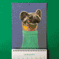 Papergang : Une box de papeterie - The Menagerie - Ohh Deer
