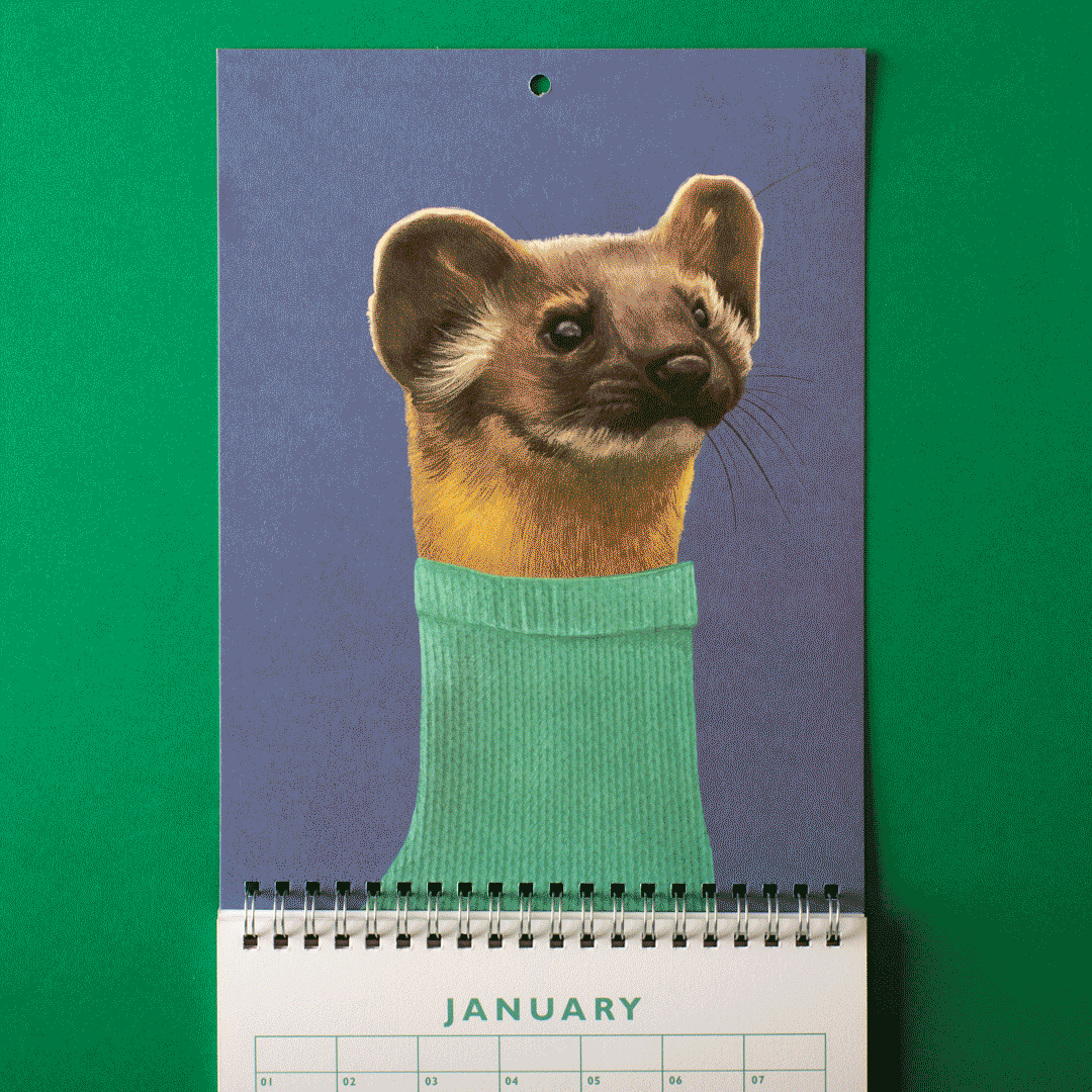 Papergang : Une box de papeterie - The Menagerie - Ohh Deer