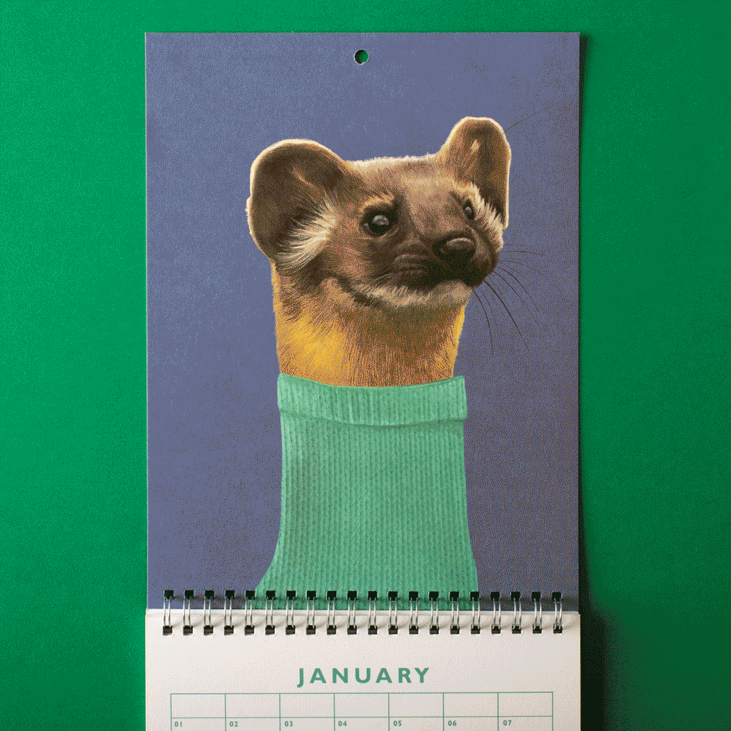Papergang : Une box de papeterie - The Menagerie - Ohh Deer
