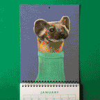 Papergang : Une box de papeterie - The Menagerie - Ohh Deer