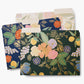 Set de 6 dossiers - Colette - Rifle Paper Co