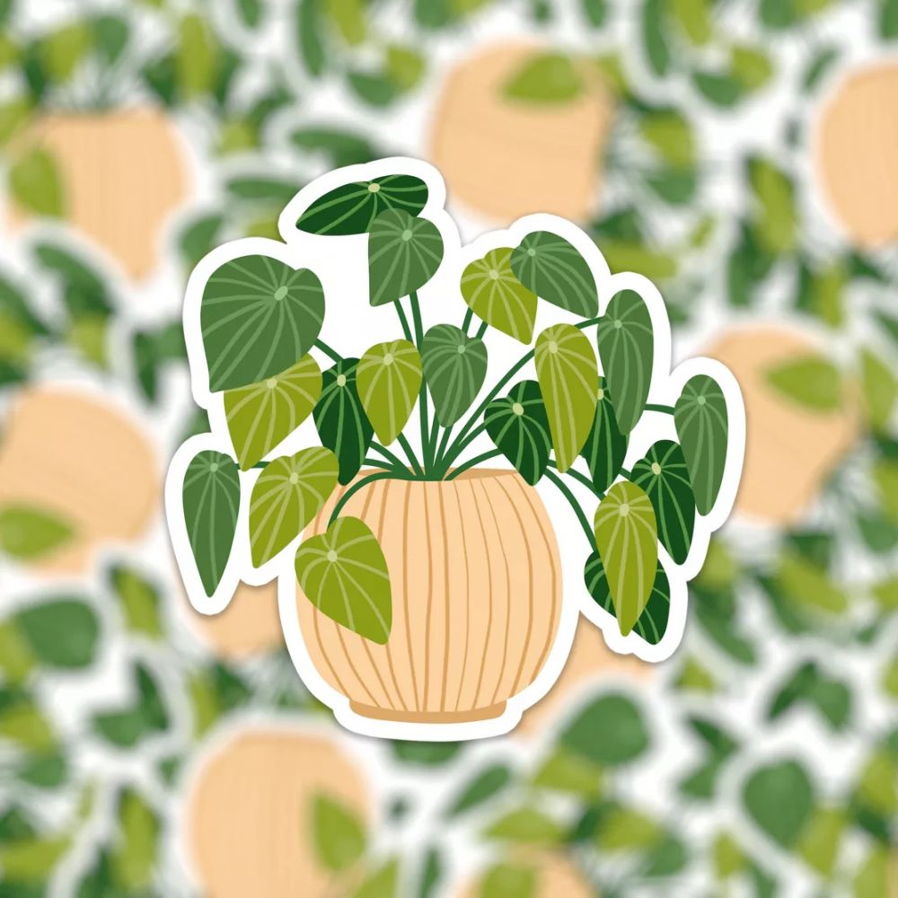 Sticker plant 3 - Muchable