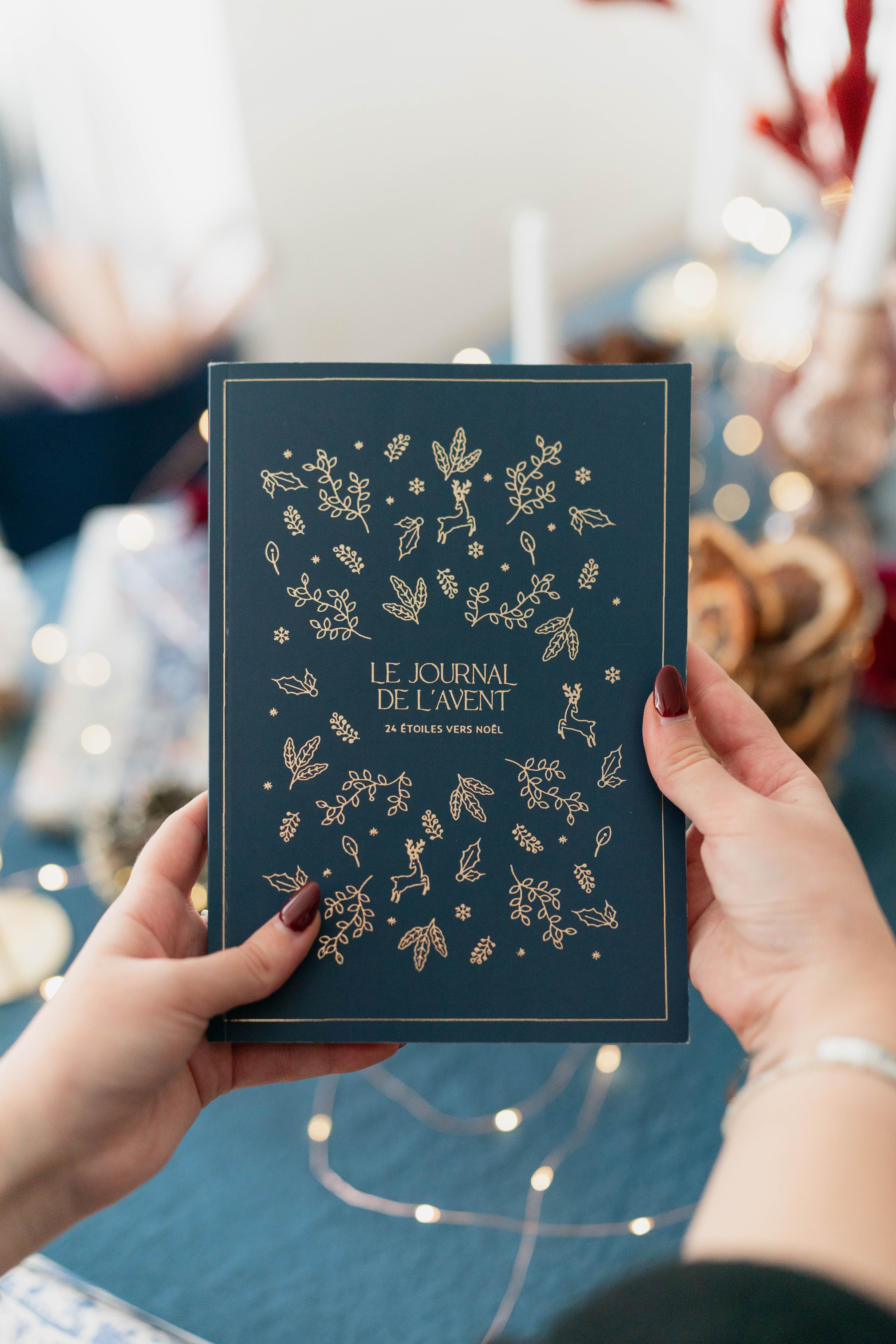 Calendrier Journal de l’Avent 2025 - Maison Paon