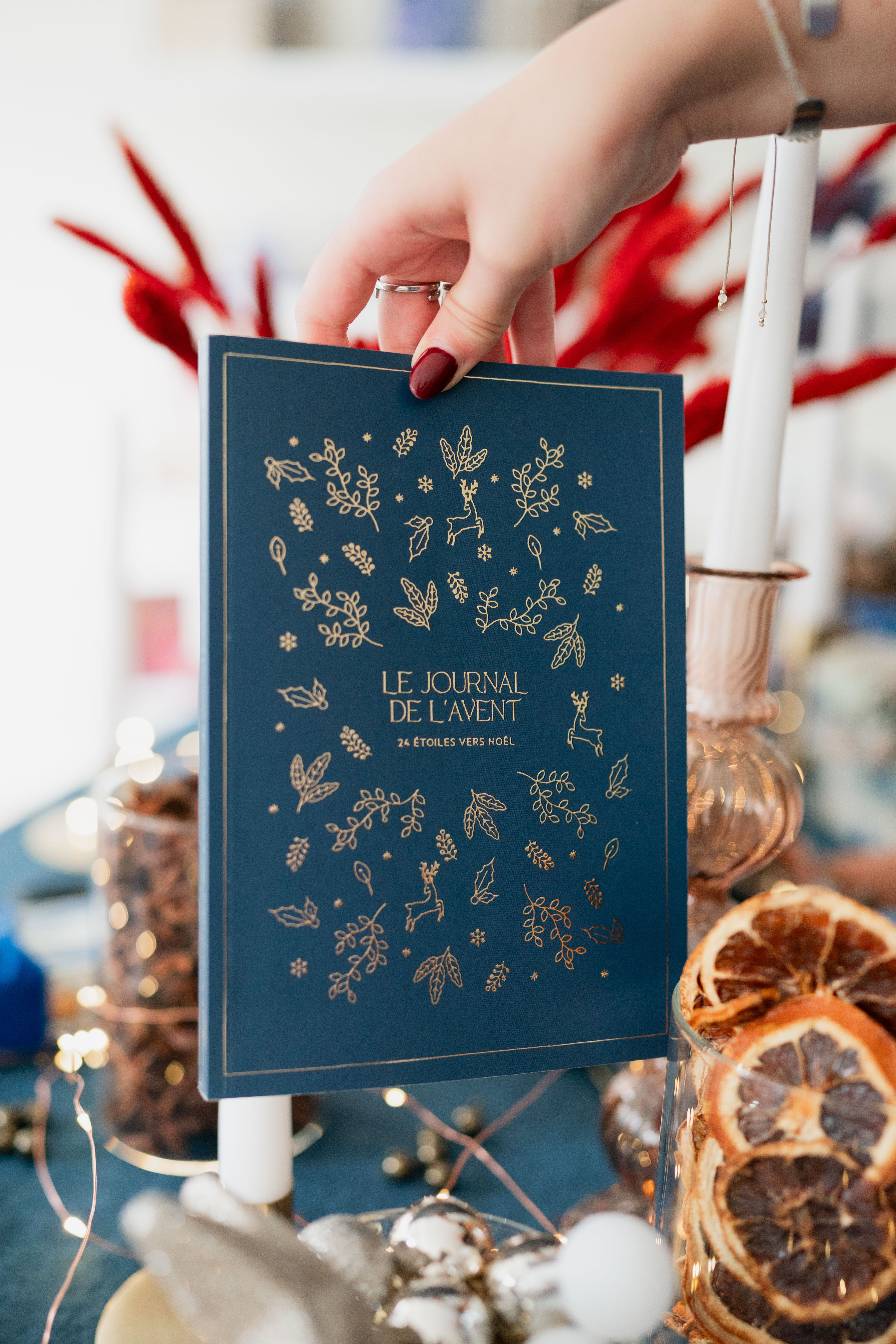 Calendrier Journal de l’Avent 2025 - Maison Paon