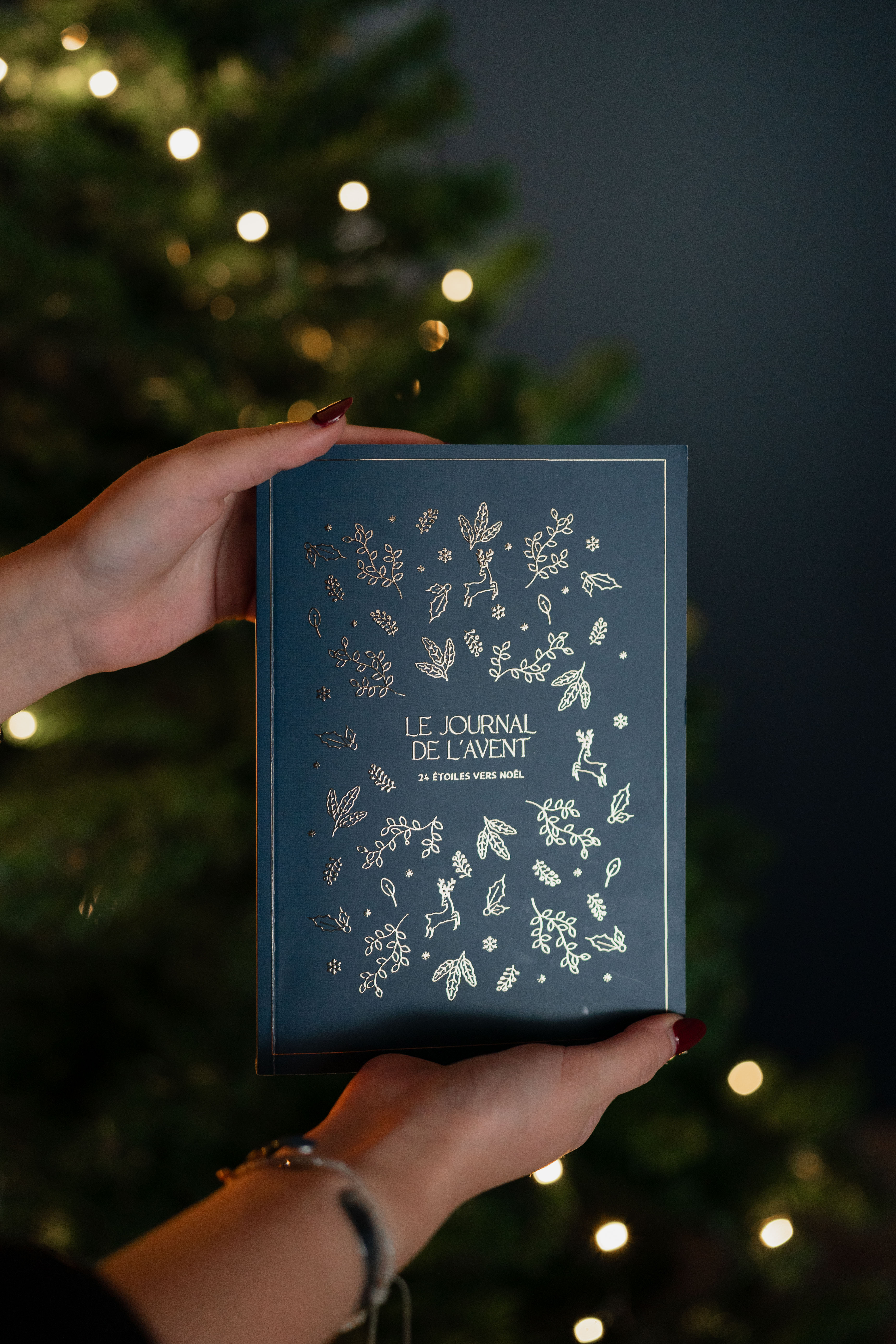 Calendrier Journal de l’Avent 2025 - Maison Paon