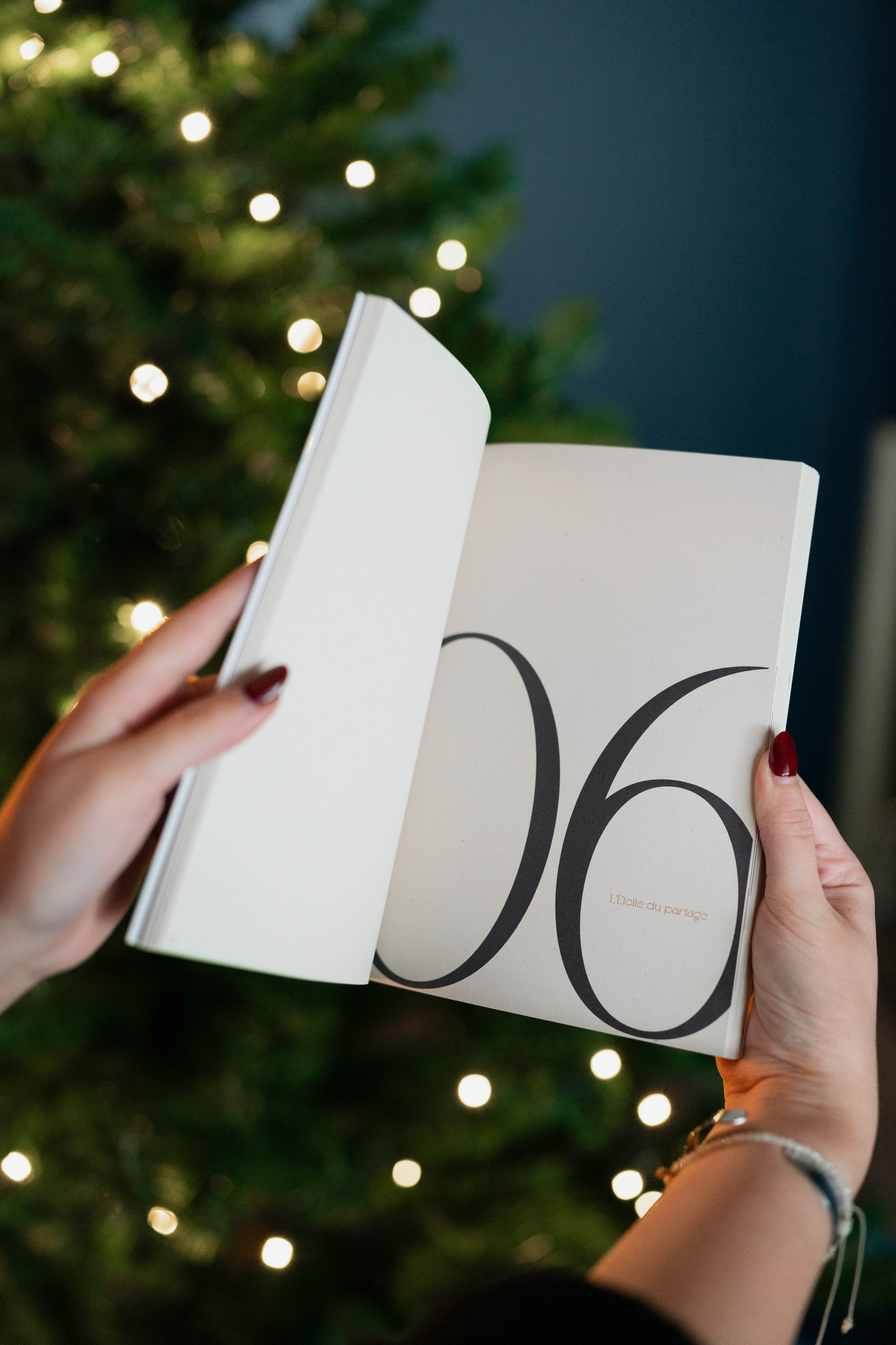 Calendrier Journal de l’Avent 2025 - Maison Paon