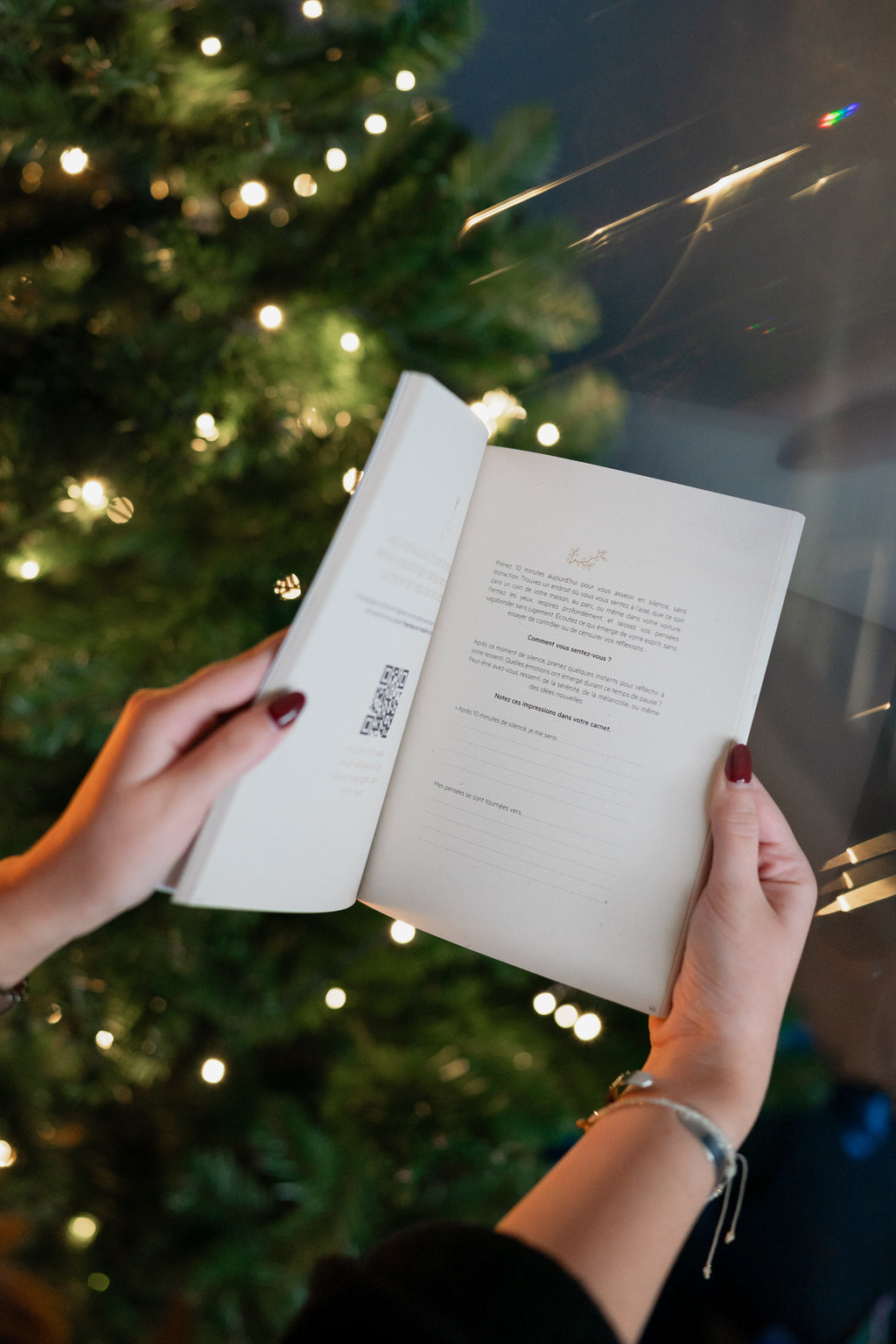 Calendrier Journal de l’Avent 2025 - Maison Paon