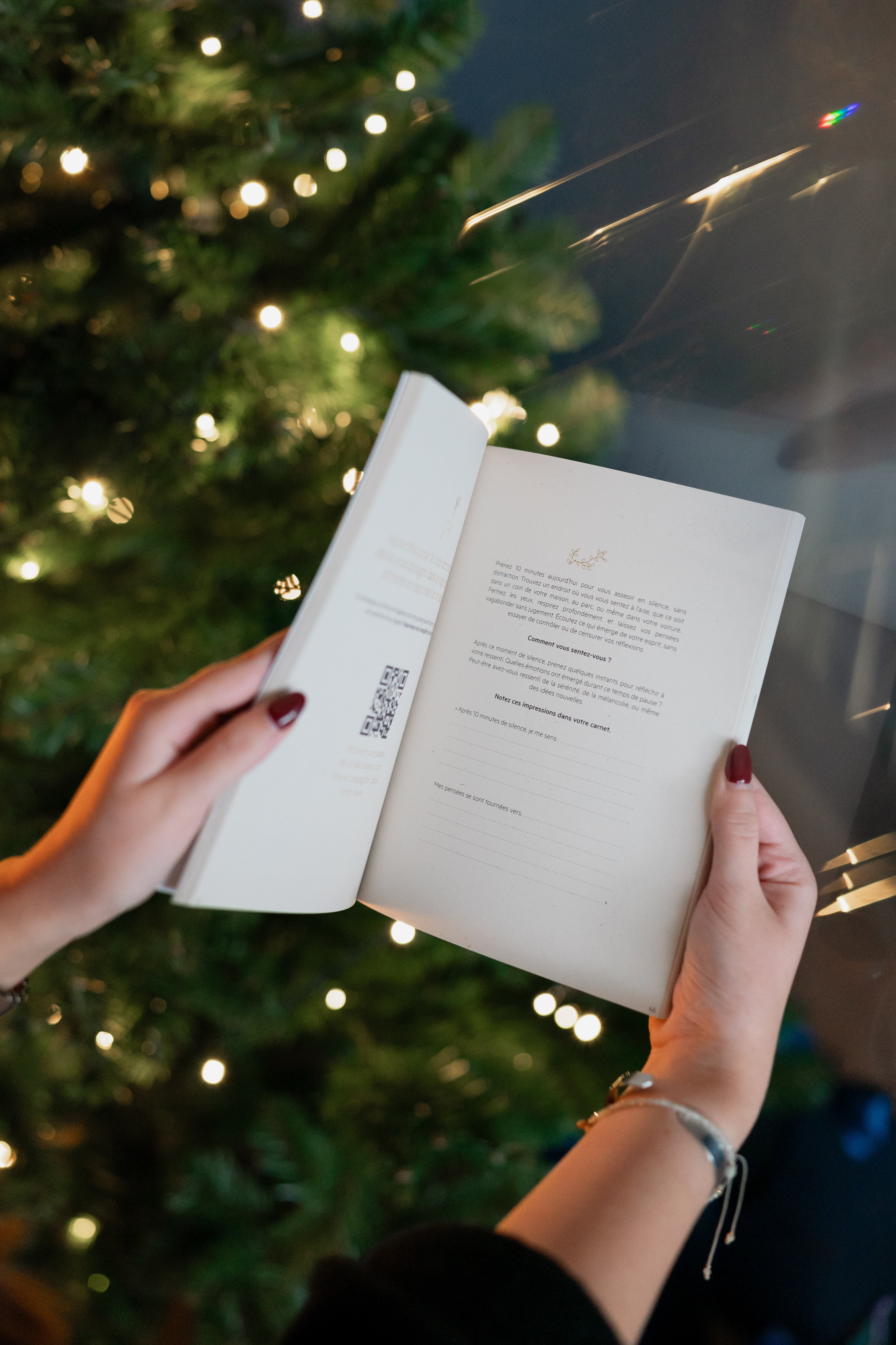 Calendrier Journal de l’Avent 2025 - Maison Paon