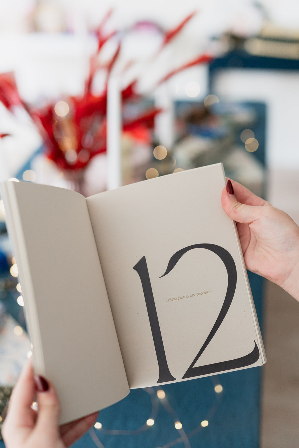 Calendrier Journal de l’Avent 2025 - Maison Paon