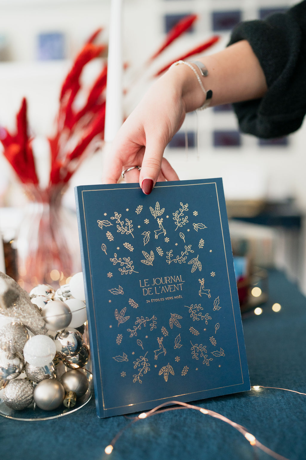 Calendrier Journal de l’Avent 2025 - Maison Paon