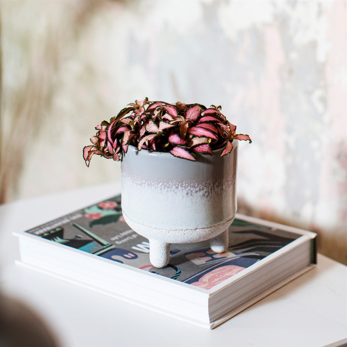 Pot gris sur livre avec plante